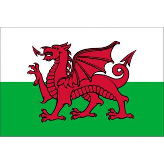 WALES-FLAG-CARAMARINE-Welsh-Flag161325