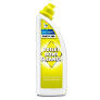 THTFORD TOILET & BOWL CLEANER 750ML 050037