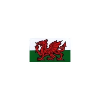 Welsh Dragon Medium Sticker